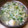 ﾋﾟﾛﾐ♡'s cooksnap of when they made かいわれ大根と麩のすまし汁.