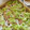 ☆髙田食堂☆'s cooksnap of when they made 【お家で作れる本格中華㉔】焼売.