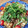 ☻☻☻☻☻☻☻☻☻☻'s cooksnap of when they made ◆パクチーと厚揚げの炒め物◆.