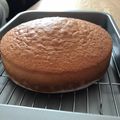 ぞうちゃん！！'s cooksnap of when they made 簡単☆基本☆ふわふわ スポンジケーキ.