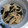 クック8SSYN0☆'s cooksnap of when they made 爽やか♪えのきとワカメのレモン和え.