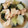 チェビス's cooksnap of when they made 簡単☆小松菜と油揚げの煮浸し.