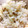 shinkoキッチン's cooksnap of when they made 新しょうがご飯.