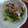 かいあママ's cooksnap of when they made レタスとハムの炒め物.