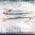 Mei＊☆'s cooksnap of when they made 必見！！【割り箸】で魚の内臓を取る方法♥.