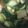クックOQI6U0☆'s cooksnap of when they made 鶏だんごとチンゲン菜のスープ.