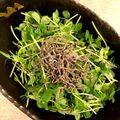 わん公's cooksnap of when they made これだけで美味しい「豆苗と塩昆布」.
