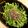 わん公's cooksnap of when they made これだけで美味しい「豆苗と塩昆布」.