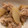 akiko11758's cooksnap of when they made 豚の小間切れ肉と大根の角煮風.