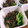928るびすけ☆☆'s cooksnap of when they made わかめとひじきの梅胡麻和え.