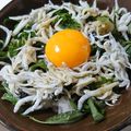 ぺ～こ☆'s cooksnap of when they made ごま油と薬味香る釜揚げしらす丼.