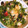 ✩はやまま✩'s cooksnap of when they made 豚と野菜の揚げだしぶっかけそーめん！.
