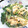 ユーロン's cooksnap of when they made 菜の花と稲荷あげの卵炒め.
