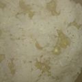 クックGH2GXQ☆'s cooksnap of when they made 炊飯器にポンでグリンピースごはん.