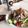 たじ満塁's cooksnap of when they made サッパリ！クエン酸！ごまだれアレンジ.