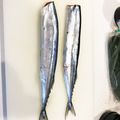 麻婆母神's cooksnap of when they made キッチンばさみで簡単！さんまのさばき方.