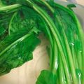 ＊きしろ＊'s cooksnap of when they made 葉物野菜の簡単!ゆで方　.