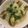 ゆいまーるん's cooksnap of when they made 白だしで上品に☆なすの焼きびたし.