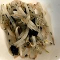 黒パグりん's cooksnap of when they made レンジで簡単♬もやしと海苔のナムル♬.