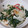 わかポン☆'s cooksnap of when they made 新玉ねぎの中華風マヨぽんサラダ♪.