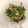 おっちむ＊'s cooksnap of when they made きのこと豆苗のゴマヨ和え.