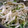 べにあ's cooksnap of when they made 長ネギのナムル.