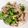 ☆ハートの若葉☆'s cooksnap of when they made ☆ブロッコリーと豚肉マヨ炒め☆.