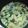 しろっち's cooksnap of when they made 鮭のクリームソースあえ.