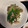 xMARILYNx's cooksnap of when they made しめじと葱の炒め物.