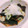 sumiぴょん's cooksnap of when they made なすの揚げ浸し.