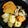 おしひと's cooksnap of when they made がんもと大根・にんじんの煮物〜砂糖なし.
