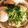 chonmamam's cooksnap of when they made 糖質ゼロ麺で豆乳ラーメン＆常備菜の整理.