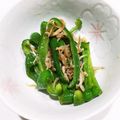 たかぼんぼん♪'s cooksnap of when they made ピーマンとしらすのめんつゆ炒め.