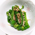 たかぼんぼん♪'s cooksnap of when they made ピーマンとしらすのめんつゆ炒め.