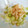 やっちーさん's cooksnap of when they made 棒みょうが 茎？みょうがたけ？簡単★.