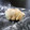さとちゃんサンタ's cooksnap of when they made 生姜の保存.