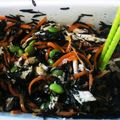 icemiki's cooksnap of when they made ひじきと枝豆と鶏の生姜ドレサラダ.