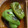Sable00's cooksnap of when they made 簡単うますぎ！ピーマンは丸ごと焼く!.