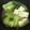 クックLUK9ZH☆'s cooksnap of when they made 青梗菜と豆腐のにんにく煮.