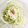 mammamiwa♪'s cooksnap of when they made 白菜のシーザーサラダ風.