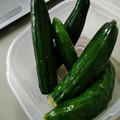 クックBNQ5PD☆'s cooksnap of when they made 新生姜☆きゅうりの一本漬け.