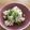 みやちん1226's cooksnap of when they made 簡単☆ロティサリーチキンで炊き込みピラフ.
