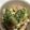 ぴあの姫's cooksnap of when they made ＊お魚ソーセージとブロッコリーのサラダ＊.
