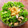 あーこ姐's cooksnap of when they made わさび菜と鯖缶のさっぱりおろしサラダ.