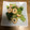 ☆アピカ☆'s cooksnap of when they made 小松菜とちくわを醤油とゴマで和えるだけ.