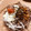 ｂｅｒｒｙ＋'s cooksnap of when they made なったまたま♪冷やし蕎麦.