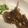 クック46JGGV☆'s cooksnap of when they made 鶏肉のマスタードソース煮.