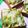 クックMF06K1☆'s cooksnap of when they made 洗い物少ない！アボカドトースト♪.