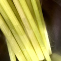 はみゃん's cooksnap of when they made まずは蕗の処理からね♪【蕗の下処理】.
