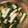pirun's cooksnap of when they made ほうれん草とちくわの胡麻和え.